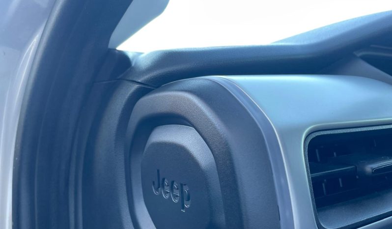 
								Jeep Avenger completo									